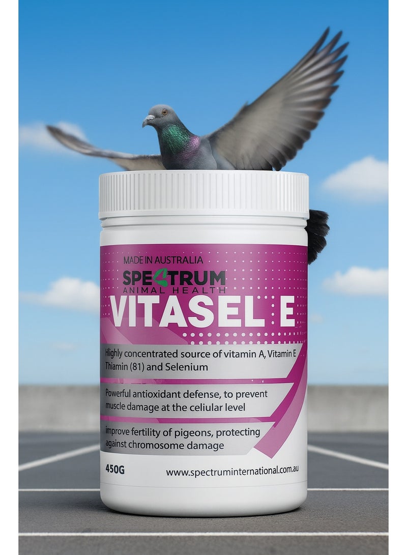 سبيكترم - فيتاسيل إي 2000 - مصدر قوي ل فيتامينات: A,E,B1,Selenium  لأقوي دعم و قوة و مضاد للأكسدة للعضلات و معزز للخصوبة - لحمام السباق